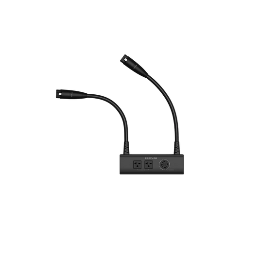 EcoFlow Double Voltage Hub (DELTA Pro) - EcoFlowGuam